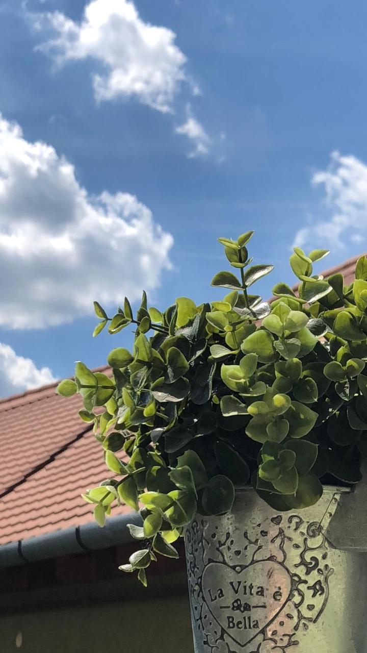 Ferienwohnung Frank Apartman Erlau Exterior foto